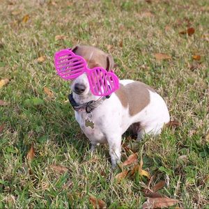 Meet your Posher, Heidi